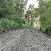 157 Acre Deer Waterfowl Hunting Property for Sale Carroll County images 5