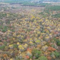 25.5 Acres in Monroe County in Hamilton MS images 2