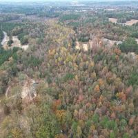 25.5 Acres in Monroe County in Hamilton MS images 4