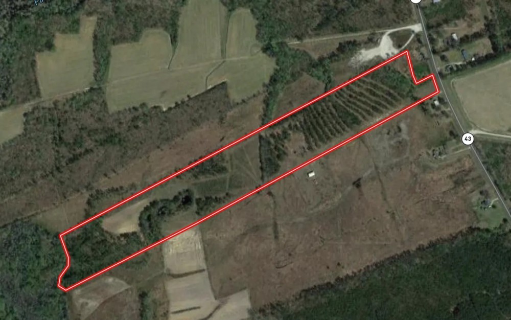 33.16 acres of Residential Timberland Land For Sale in Craven County NC featured image
