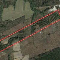 33.16 acres of Residential Timberland Land For Sale in Craven County NC