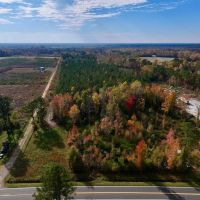 33.16 acres of Residential Timberland Land For Sale in Craven County NC images 2