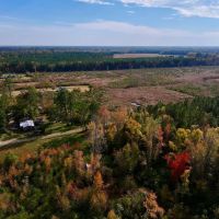 33.16 acres of Residential Timberland Land For Sale in Craven County NC images 4