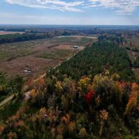 33.16 acres of Residential Timberland Land For Sale in Craven County NC images 5