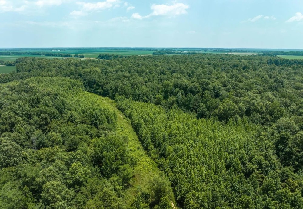 Woodlands of Neelyville featured image