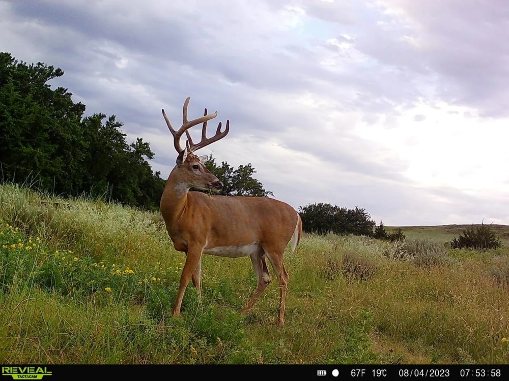 State Line 335 featured image
