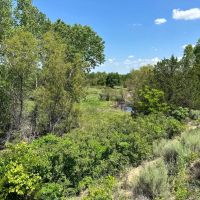 State Line 335 images 4