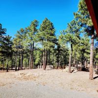 13400 Black Bear Rd Weston CO 81091 images 4