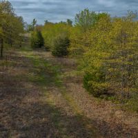 55 acres woods3 2023
