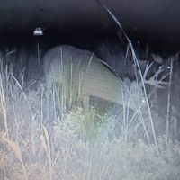 Img 20231210 123533