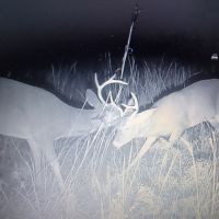 Exclusive Hunting Lease Opportunity- Cleveland, OK!