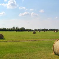 North Texas 444 Vista Ranch Hunting Recreation Cattle
