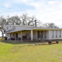 North Texas 444 Vista Ranch Hunting Recreation Cattle images 3