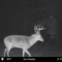 BIG BUCK HUNTING TRACT IN LEE COUNTY GA ON THE KINCHAFOONEE images 2