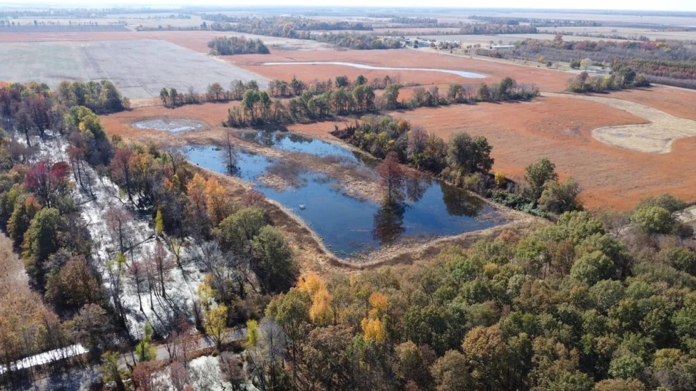 438 - Acres of Waterfowl Hunting Recreational Land in New Madrid County MO featured image