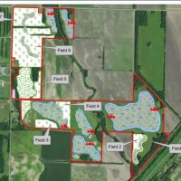 438 - Acres of Waterfowl Hunting Recreational Land in New Madrid County MO images 2