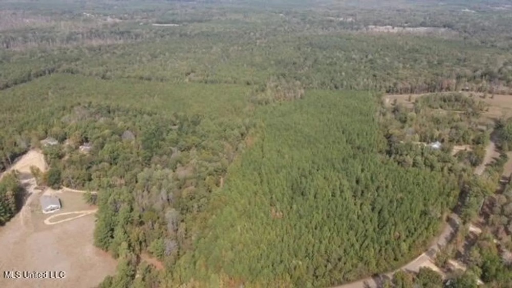104 Acres For Sale in Wesson MS featured image