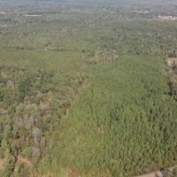 104 Acres For Sale in Wesson MS