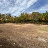 104 Acres For Sale in Wesson MS images 3
