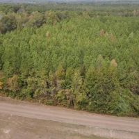 104 Acres For Sale in Wesson MS images 5