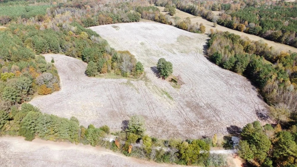 20 Ac. Lawrence County Homesite and Mini-Farm featured image