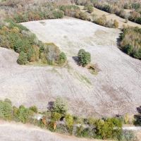 20 Ac. Lawrence County Homesite and Mini-Farm