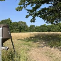 20 Ac. Lawrence County Homesite and Mini-Farm images 4