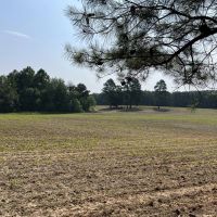 20 Ac. Lawrence County Homesite and Mini-Farm images 5