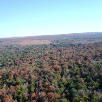 North Greenwood Arkansas 25 images 2