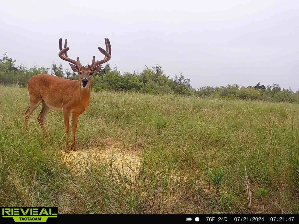 Cheyenne Valley On the Cimarron River Ranch featured image