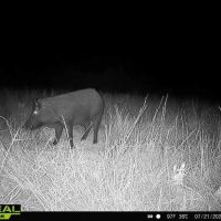 Cheyenne Valley On the Cimarron River Ranch images 3
