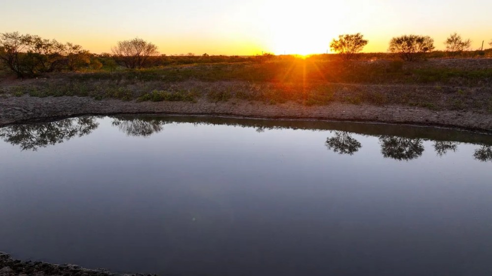 Carpenter Ranch featured image
