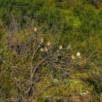 Carpenter Ranch images 2