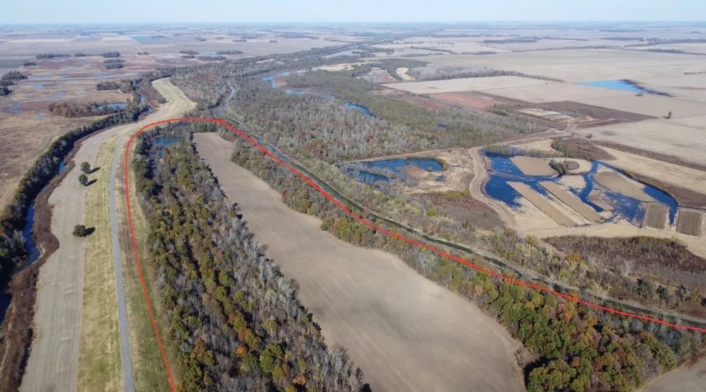 100 - Acres of Row Crop and Timber For Sale in New Madrid MO featured image