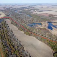 100 - Acres of Row Crop and Timber For Sale in New Madrid MO