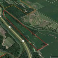 100 - Acres of Row Crop and Timber For Sale in New Madrid MO images 2