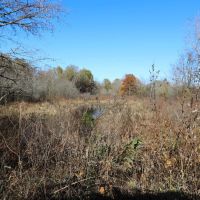 100 - Acres of Row Crop and Timber For Sale in New Madrid MO images 3
