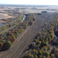 100 - Acres of Row Crop and Timber For Sale in New Madrid MO images 4