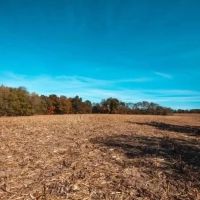 Farm Hunt 150 images 2