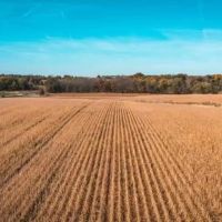 Farm Hunt 150 images 3