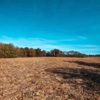 Farm Hunt 70 images 2