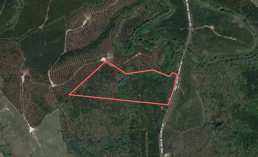 36.71 acres of Recreational and Investment Land For Sale in Moore County NC featured image