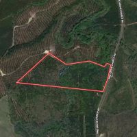 36.71 acres of Recreational and Investment Land For Sale in Moore County NC