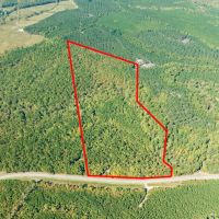 36.71 acres of Recreational and Investment Land For Sale in Moore County NC images 3
