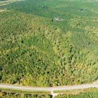 36.71 acres of Recreational and Investment Land For Sale in Moore County NC images 4