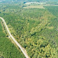36.71 acres of Recreational and Investment Land For Sale in Moore County NC images 5