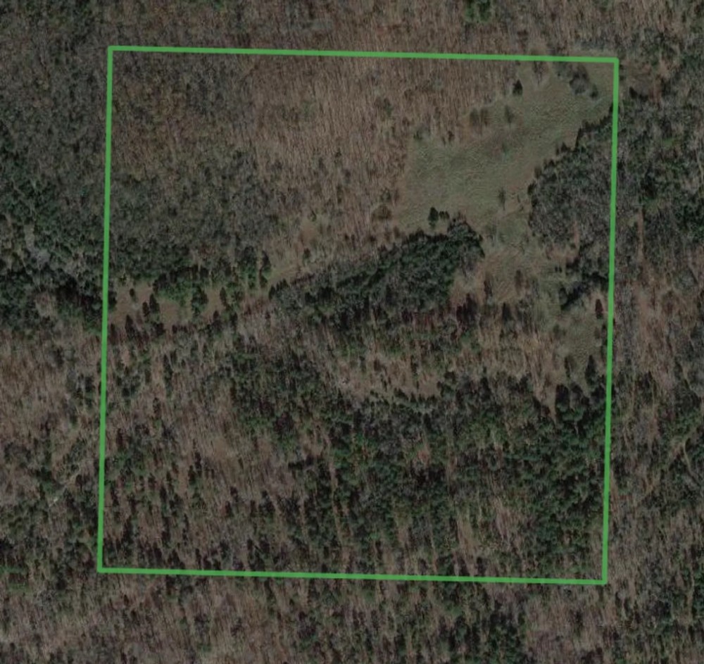 60 - Acres Hunting Land Cave City Arkansas featured image