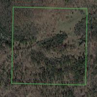60 - Acres Hunting Land Cave City Arkansas