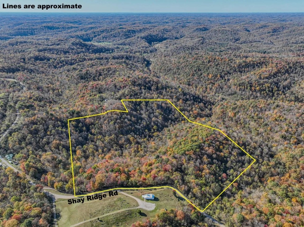 Shay Ridge - 43 Acres- Washington County featured image
