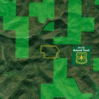 Shay Ridge - 43 Acres- Washington County images 2